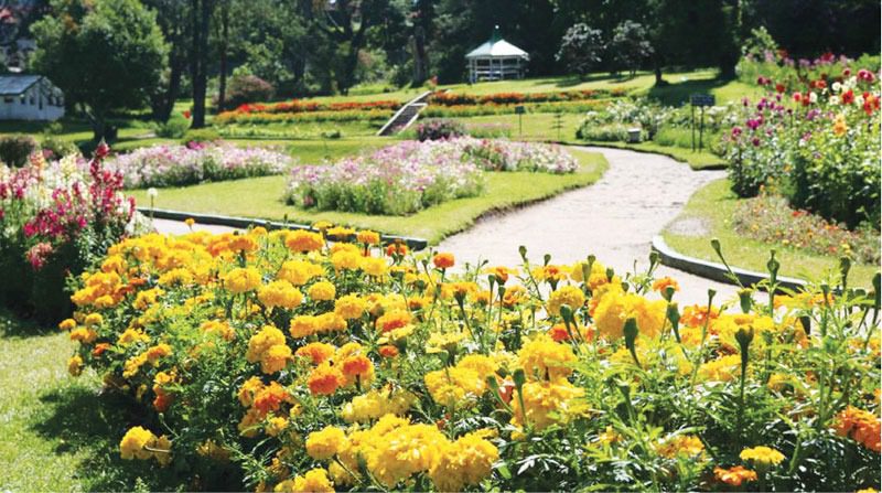 Victoria Park, Nuwaraeliya
