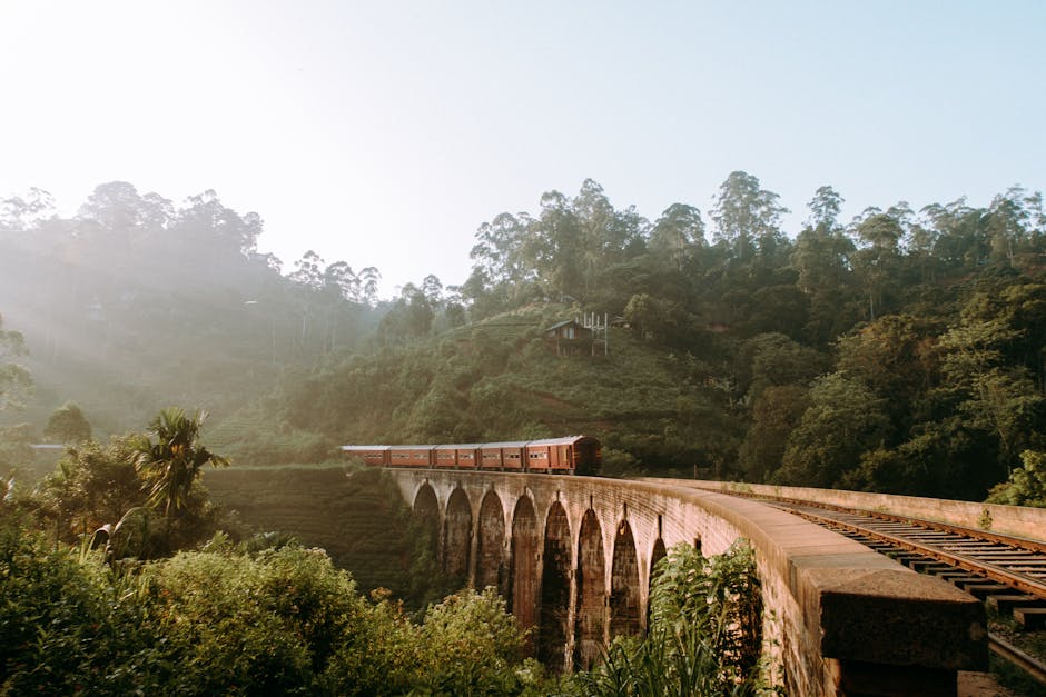 Ella (Nine Arches Bridge, Little Adam’s Peak)