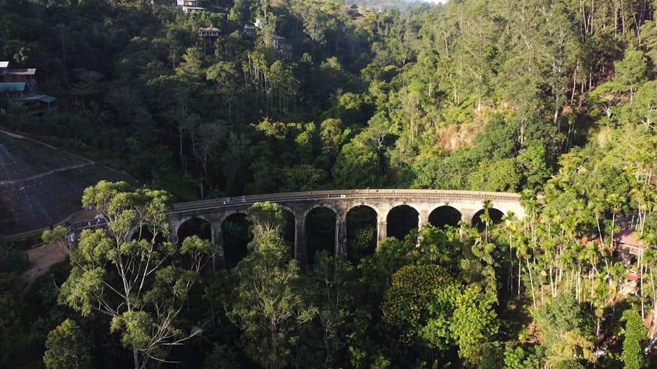 Ella (Nine Arches Bridge, Little Adam’s Peak)